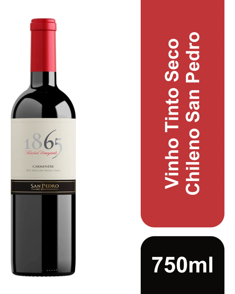 Vinho Tinto Seco Chileno 1865 Single Vineyard Carménère 750ml San Pedro